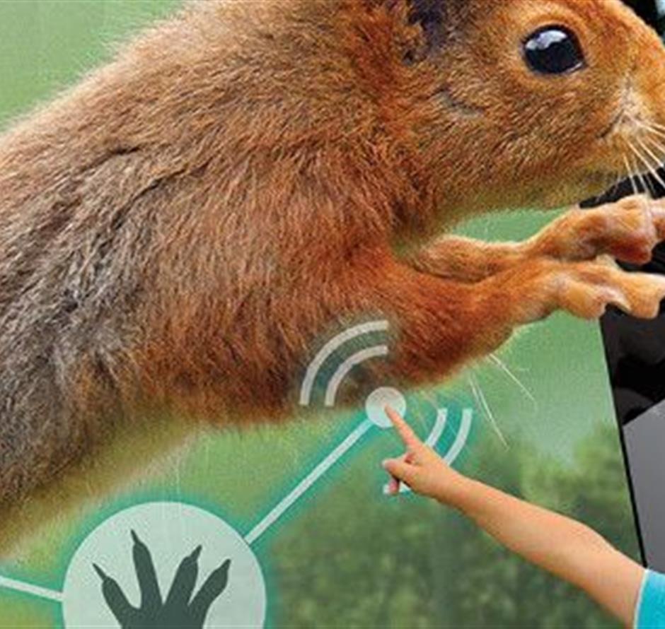 Biotopia dicht bij de camping La Pomme de Pin in St Jean de Monts 