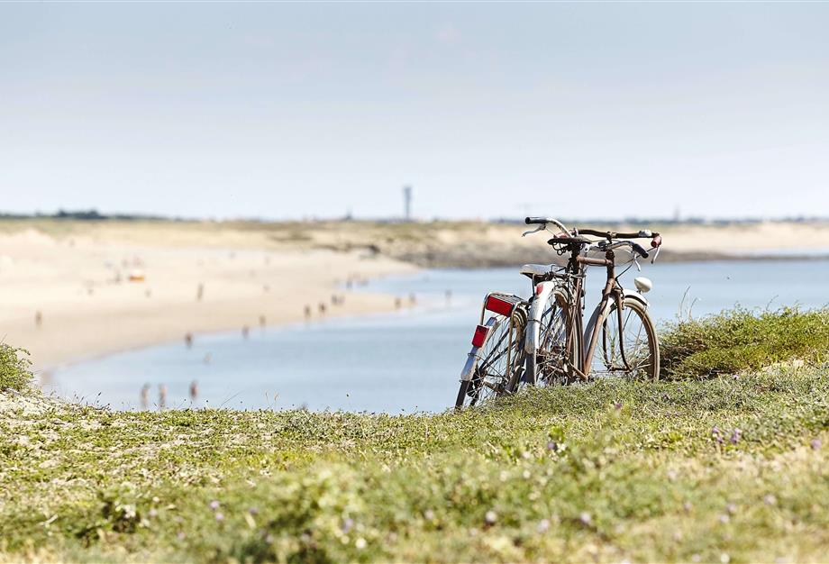 ontdek de Vendée op de fiets - CAMPING**** Les Sirènes