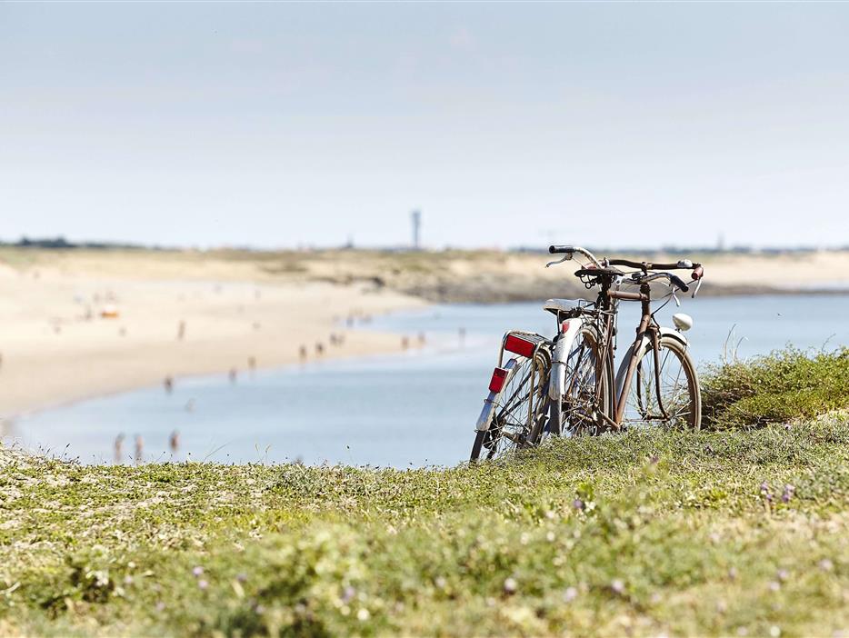 ontdek de Vendée op de fiets - CAMPING**** Les Sirènes