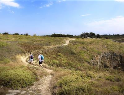 Wandelen in de buurt van de 3-sterrencamping Les Sirènes in Saint-Jean-de-Monts