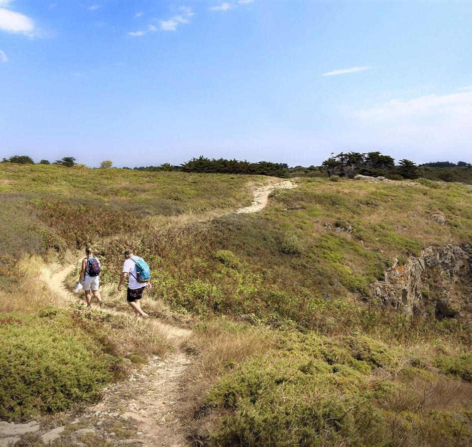 Wandelen in de buurt van de 3-sterrencamping Les Sirènes in Saint-Jean-de-Monts 