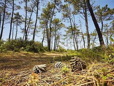 Saint-Jean-de-Monts, rond de 3-sterren camping Les Sirènes in de Vendée