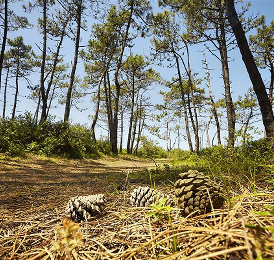 Saint-Jean-de-Monts, rond de 3-sterren camping Les Sirènes in de Vendée 
