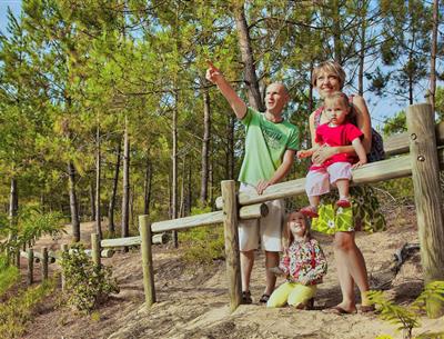 Bos van het Pays de Saint-Jean-de-Monts in de Vendée vlakbij de 3-sterren camping Les Sirènes