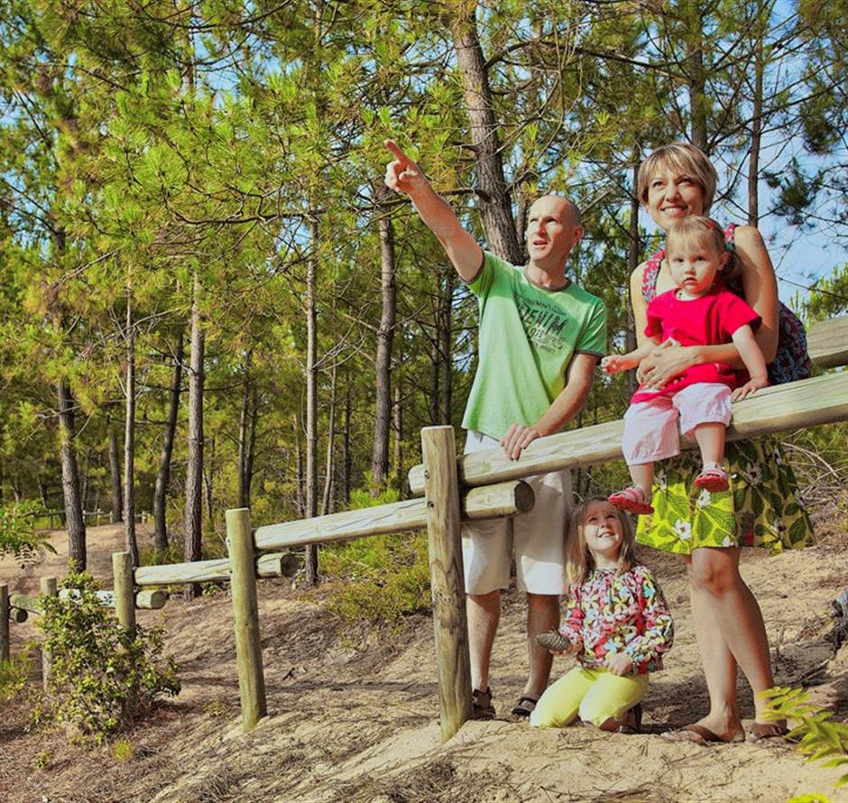 Bos van het Pays de Saint-Jean-de-Monts in de Vendée vlakbij de 3-sterren camping Les Sirènes 