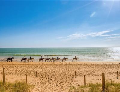 Verschillende natuuractiviteiten rond de 3-sterrencamping Les Sirènes