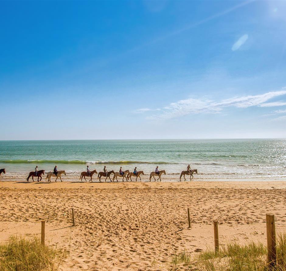 Verschillende natuuractiviteiten rond de 3-sterrencamping Les Sirènes 