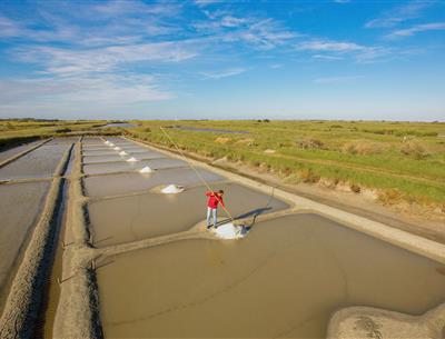 Verschillende natuuractiviteiten rond de 3-sterrencamping Les Sirènes