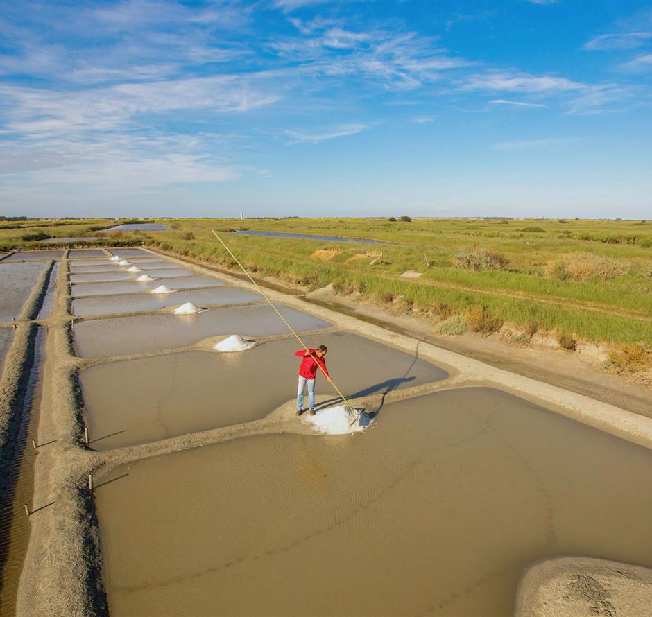 Verschillende natuuractiviteiten rond de 3-sterrencamping Les Sirènes 