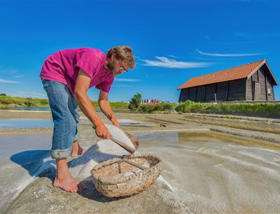 Verschillende natuuractiviteiten rond de 3-sterrencamping Les Sirènes