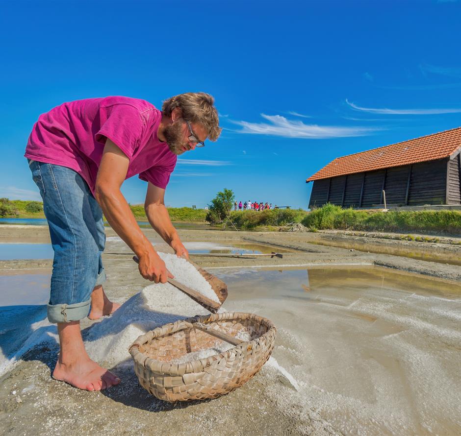 Verschillende natuuractiviteiten rond de 3-sterrencamping Les Sirènes 