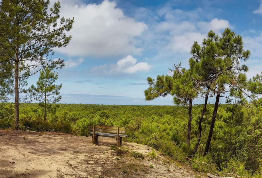 activiteiten en bezienswaardigheden in de buurt van de 3-sterren camping Les Sirènes in Saint-Jean-de-Monts - CAMPING**** Les Sirènes