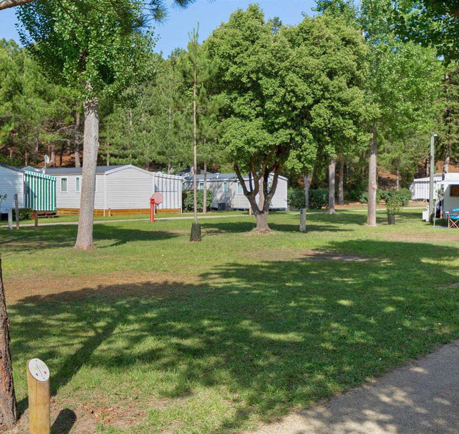 Kale staanplaatsen zonder stroom op camping Les Sirènes in Saint-Jean-de-Monts 