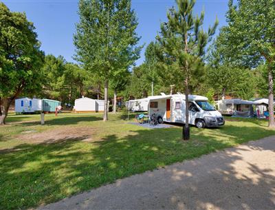 Kale plaatsen met stroom 2 bloemen op Camping Les Sirènes