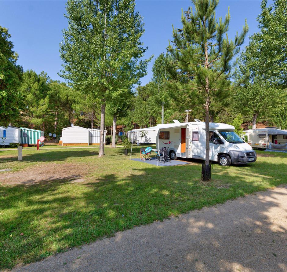 Kale plaatsen met stroom 2 bloemen op Camping Les Sirènes 