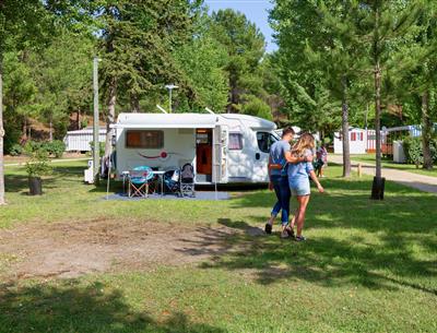 Kale plaatsen met stroom 2 bloemen op Camping Les Sirènes