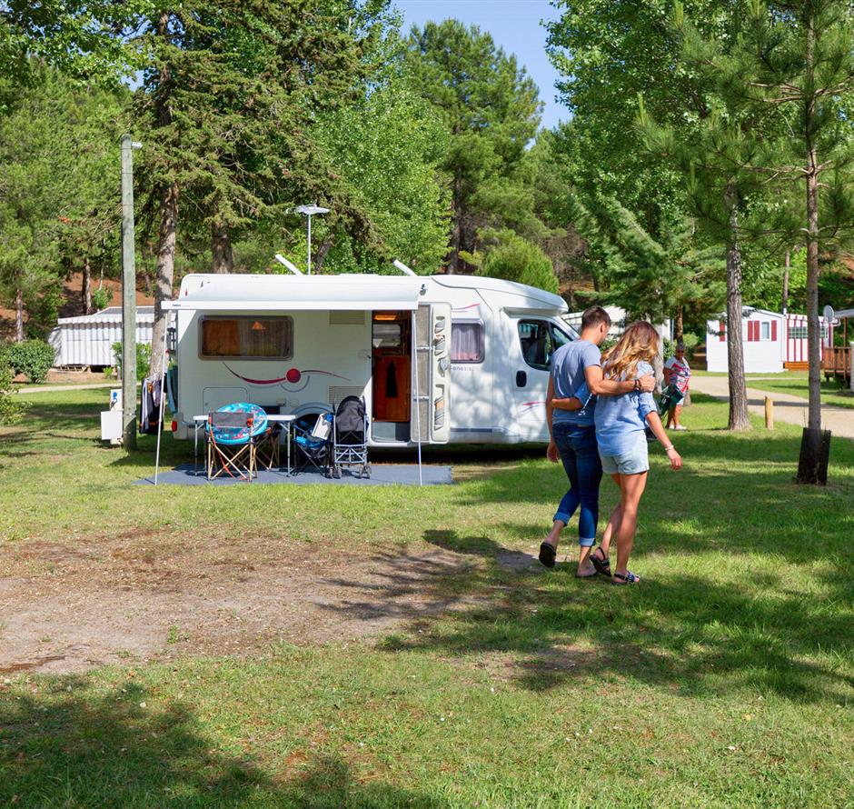 Kale plaatsen met stroom 2 bloemen op Camping Les Sirènes 