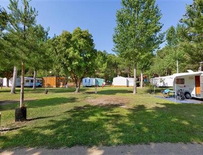 Kale staanplaatsen zonder stroom op camping Les Sirènes in Saint-Jean-de-Monts
