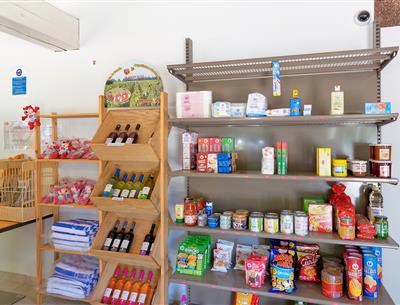 Diensten ter plaatse op de 3-sterrencamping Les Sirènes in Saint Jean de Monts in de Vendée (ontbijt, fietsverhuur, snackbar, bar, kruidenierswinkel, massage, wasserette, enz.)