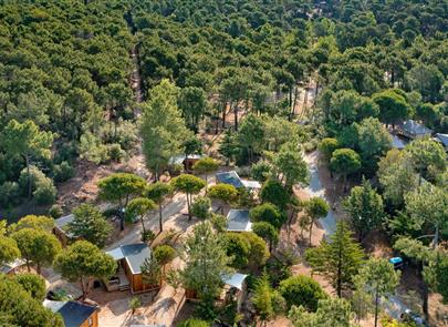 Natuur en dennenbossen op de 3-sterrencamping Les Sirènes in Saint-Jean-de-Monts - CAMPING**** Les Sirènes