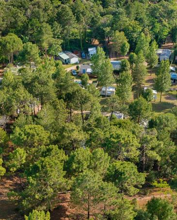 Natuur en dennenbossen op de 3-sterrencamping Les Sirènes in Saint-Jean-de-Monts - CAMPING**** Les Sirènes