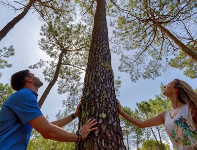 Milieuvriendelijke camping, 3-sterren camping Les Sirènes in Saint Jean de Monts in de Vendée