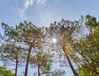 Milieuvriendelijke camping, 3-sterren camping Les Sirènes in Saint Jean de Monts in de Vendée