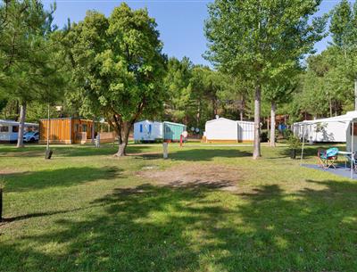 Kale staanplaatsen zonder stroom op camping Les Sirènes in Saint-Jean-de-Monts