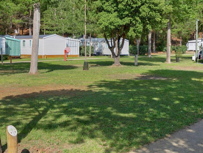 Kale staanplaatsen zonder stroom op camping Les Sirènes in Saint-Jean-de-Monts