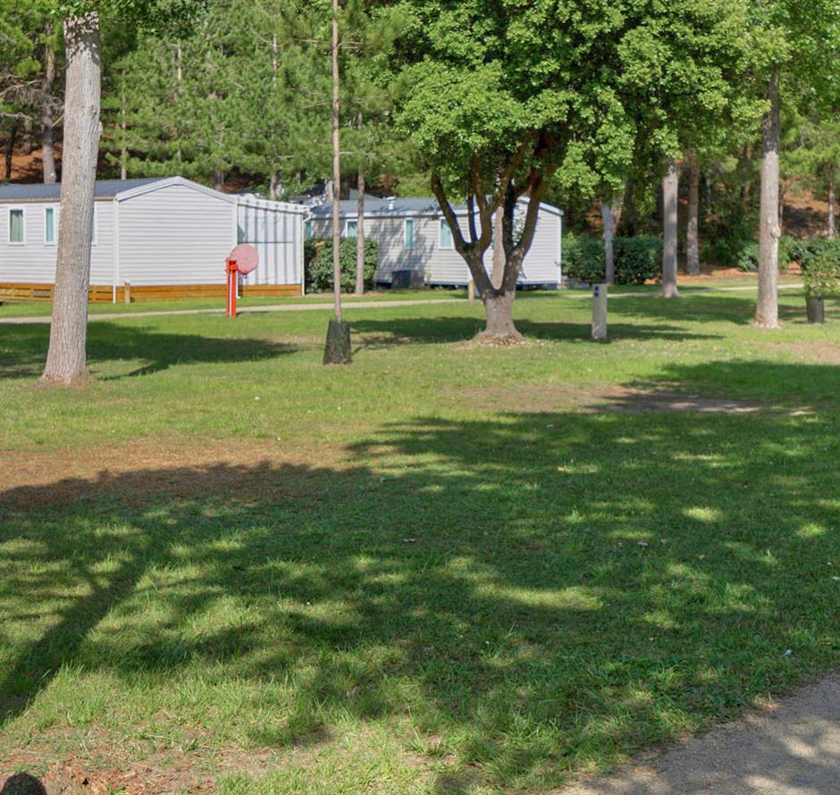 Kale staanplaatsen zonder stroom op camping Les Sirènes in Saint-Jean-de-Monts 