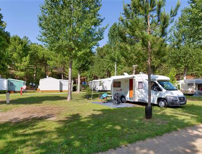Kale plaatsen met stroom 2 bloemen op Camping Les Sirènes