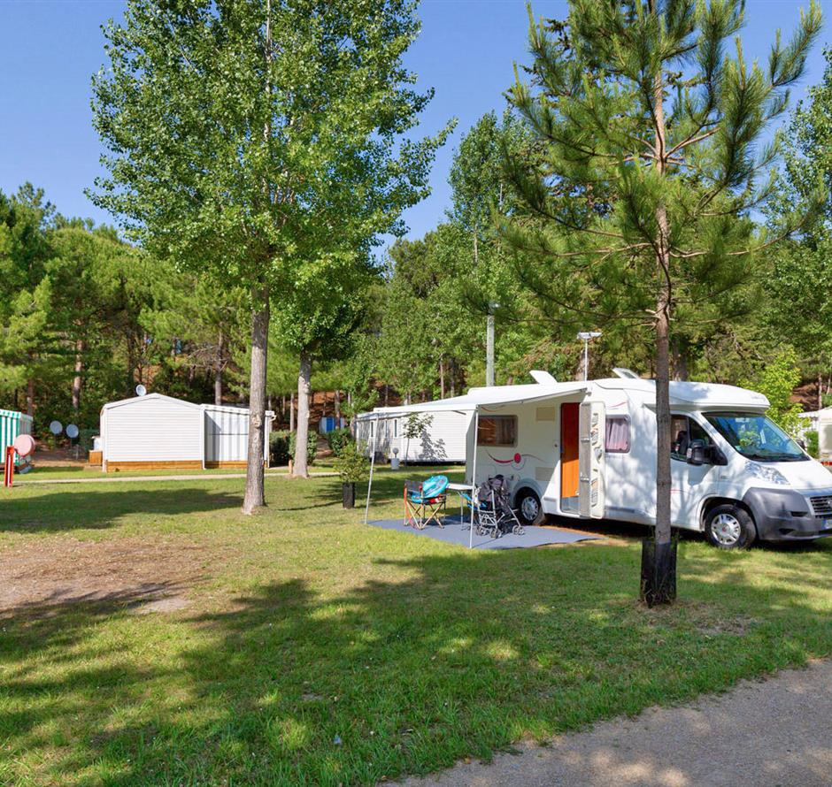 Kale plaatsen met stroom 2 bloemen op Camping Les Sirènes 