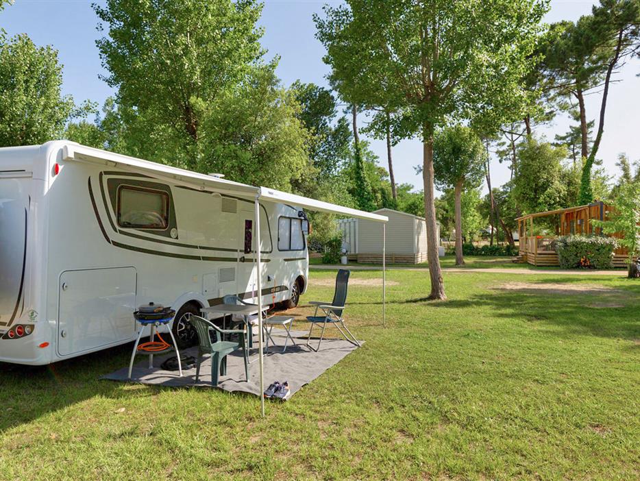 Kale plaatsen met stroom 2 bloemen op Camping Les Sirènes - CAMPING**** Les Sirènes