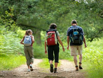 Wandelen in de buurt van de 3-sterrencamping Les Sirènes in Saint-Jean-de-Monts