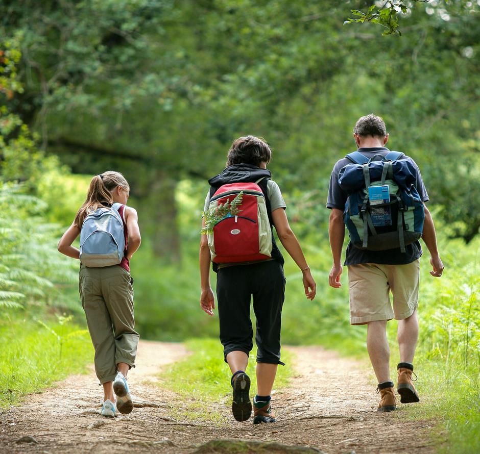 Wandelen in de buurt van de 3-sterrencamping Les Sirènes in Saint-Jean-de-Monts 