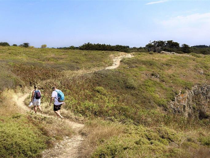 Wandelen in de buurt van de 3-sterrencamping Les Sirènes in Saint-Jean-de-Monts