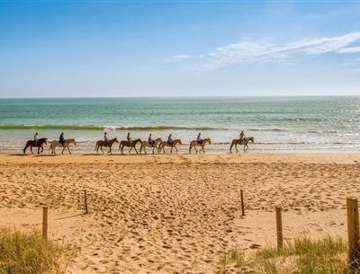 Verschillende natuuractiviteiten rond de 3-sterrencamping Les Sirènes