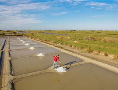 Verschillende natuuractiviteiten rond de 3-sterrencamping Les Sirènes