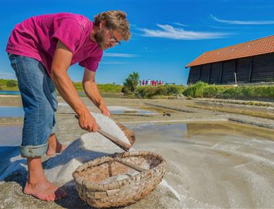 Verschillende natuuractiviteiten rond de 3-sterrencamping Les Sirènes